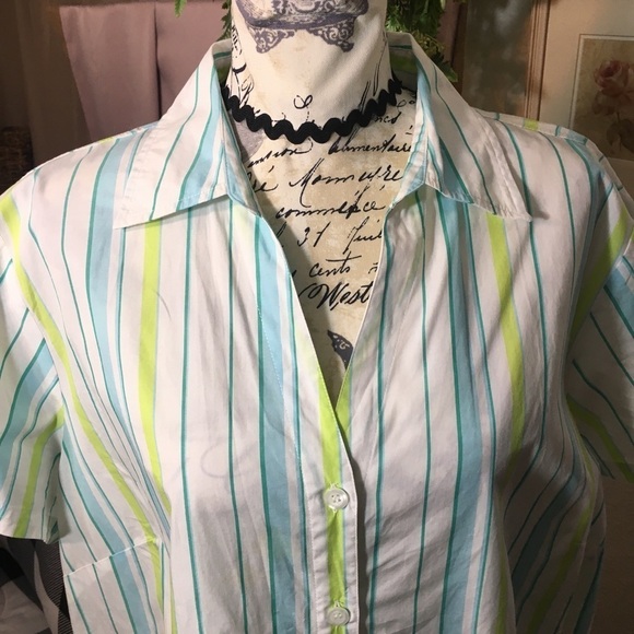 ❤️ Plus Size Style&Co - V neck button down blouse - Picture 6 of 7